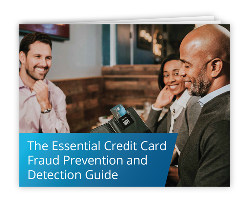 The Essential Credit Card Fraud Prevention and Detection Guide