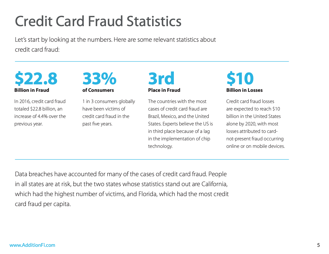 The Essential Credit Card Fraud Prevention and Detection Guide