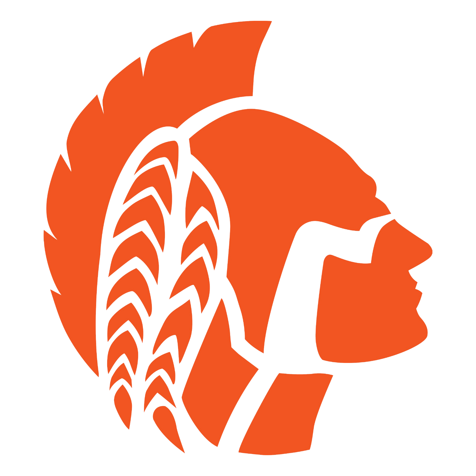 Boone High School